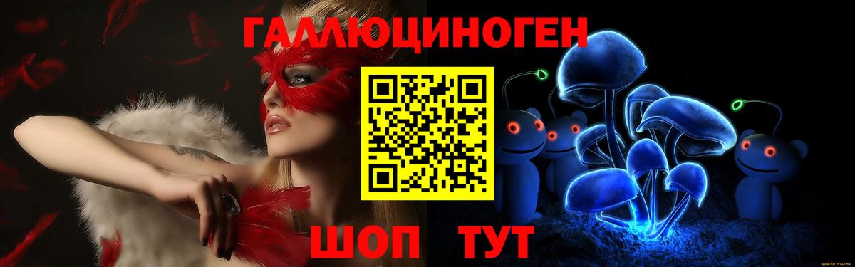 Курчалой  Галлюциногенные грибы Psilocybe  купить   Вход с VPN 